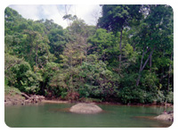 Corobici River