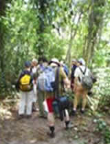 hiking
