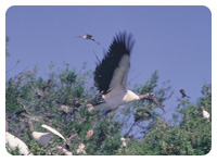 Maravillas de Costa Rica