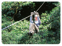 Canopy Tour 