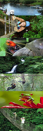 Aventura en el bosque lluvioso Costa Rica